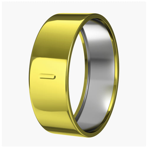 Gold/Silver Oura Ring Cover