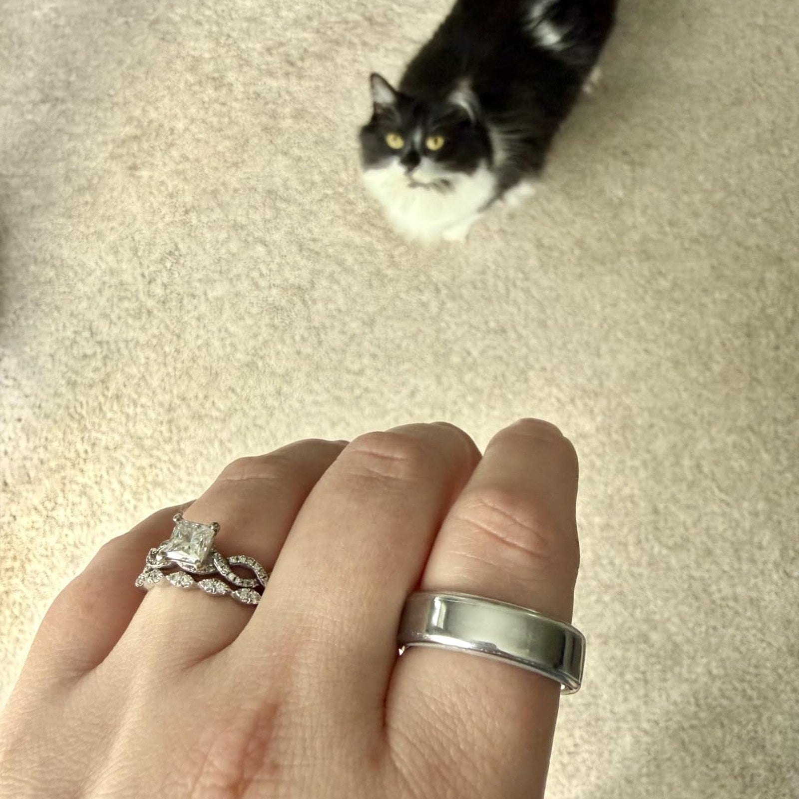 Silver-tone Oura Ring cover worn at home with a black and white cat nearby